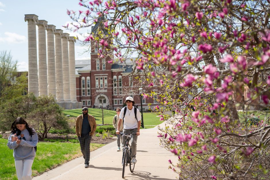 Student on bike framed by pink flowers