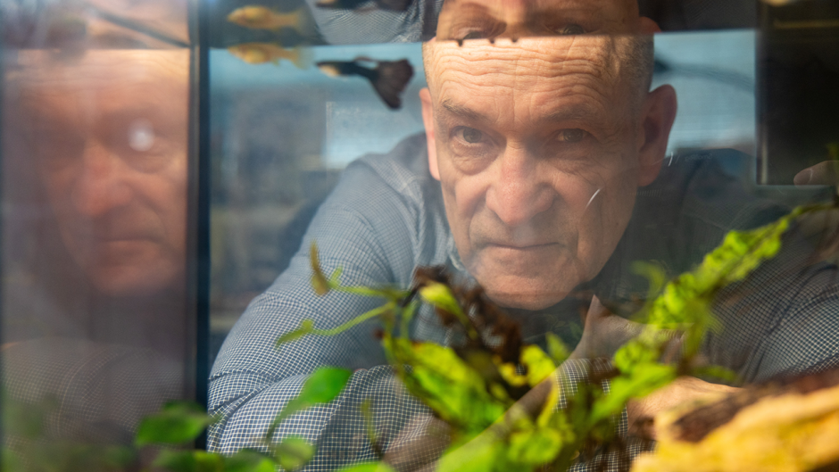 Wes Warren looking at fish in his fishtank.