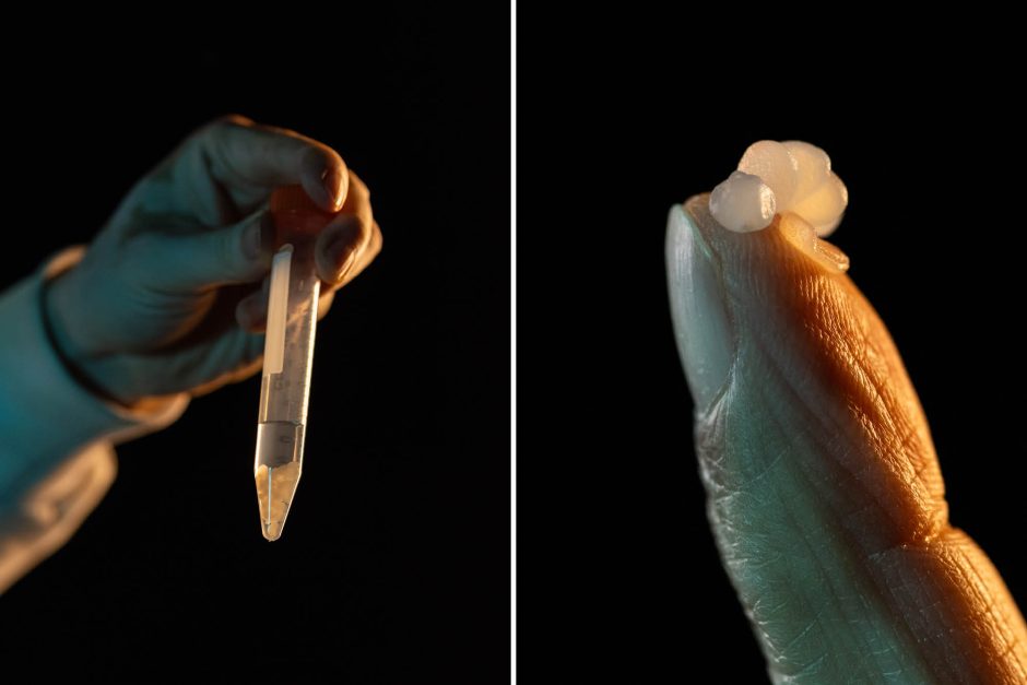 Ion-imprinted polymers being held.