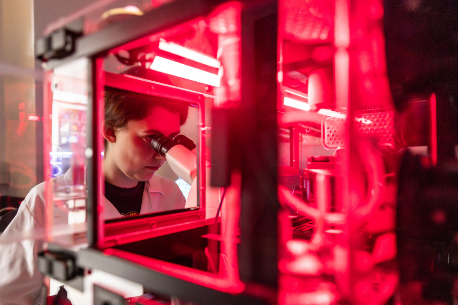 Tara Finegan looking through a microscope in her lab.