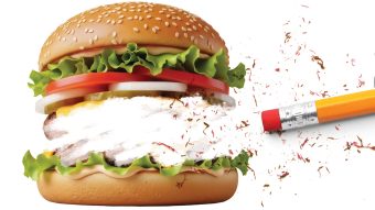 cheeseburger with meat erased by a pencil