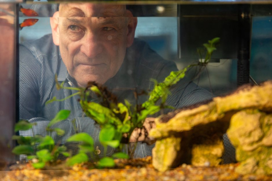Person looking through a fish tank