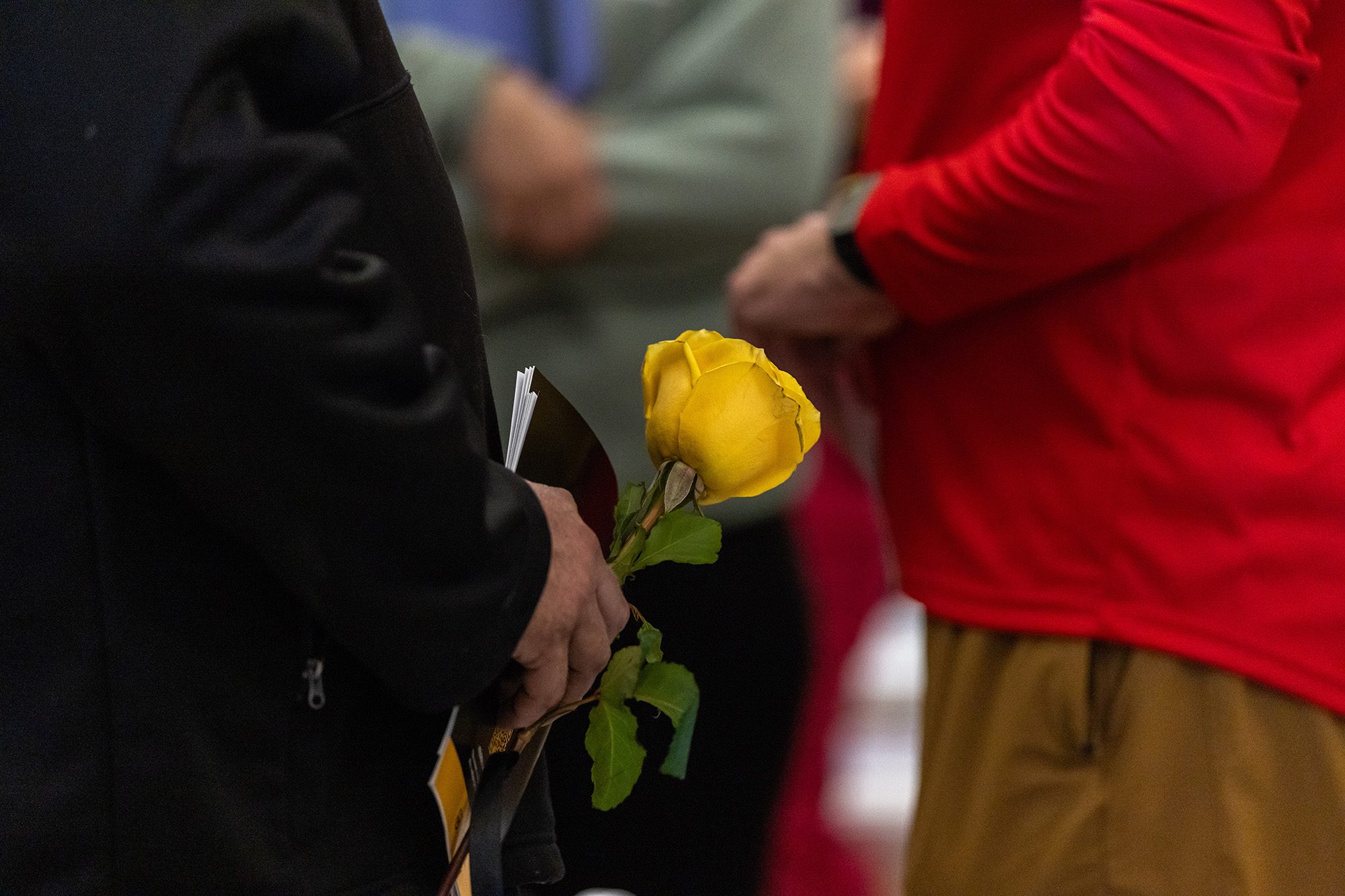 20260410_OP_MU-Remembers-027 A person's hand holding a yellow rose