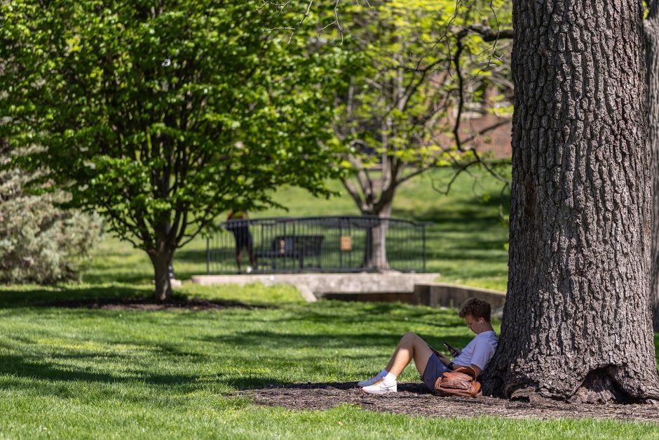 Student sitting against a tree in Peace Park