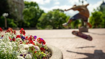Flowers in a planter with a skateboarder performing a trick in the background