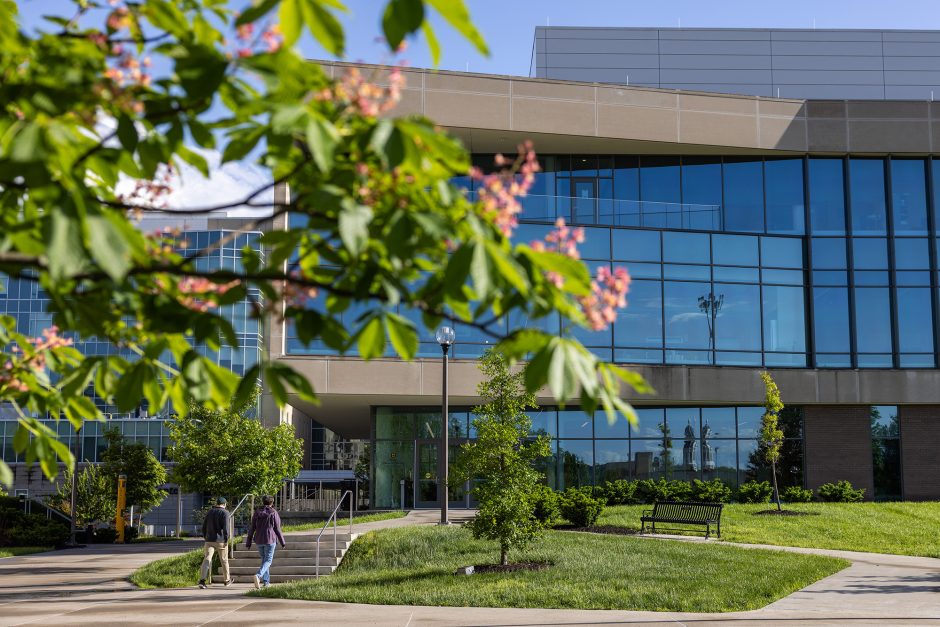 Flowering tree with students walking into a building in the background
