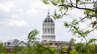 Tree branches frame Jesse Hall Dome