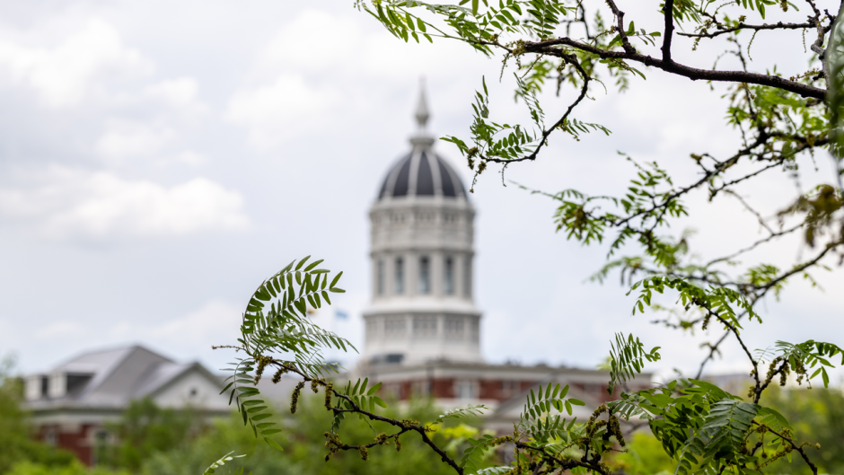 Tree branches frame Jesse Hall Dome