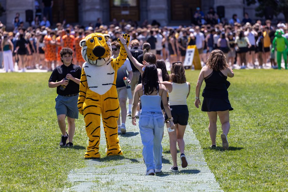 Truman the Tiger high-fiving students walking by on the Quad