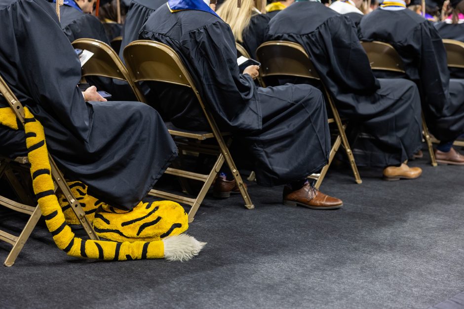 Truman the Tiger feet and tail peeking out of the bottom of a graduate gown