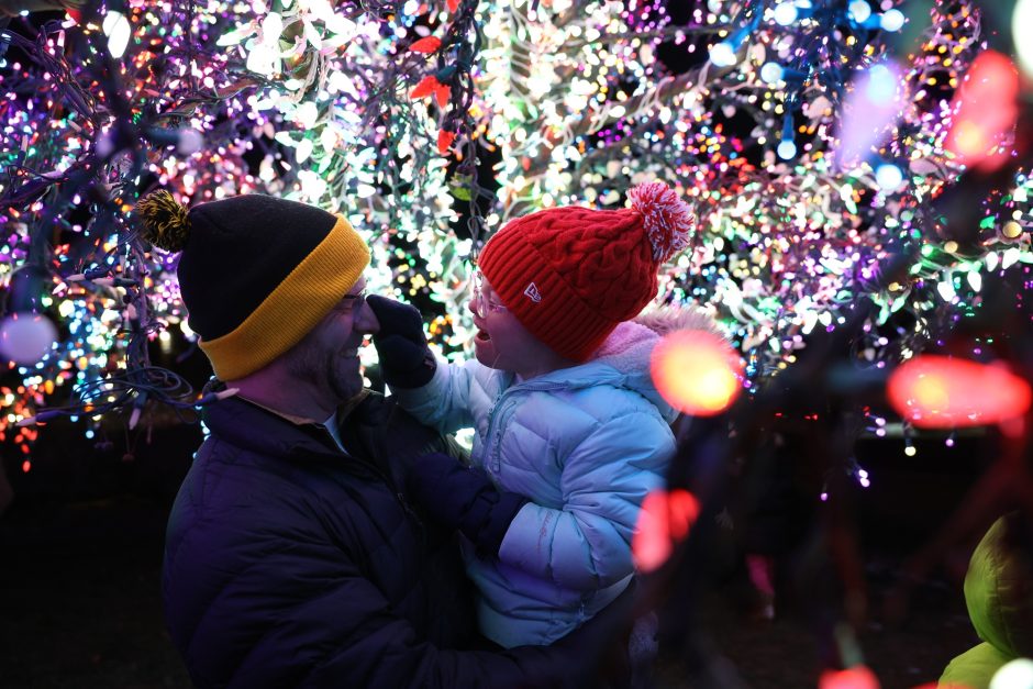 A father holds his daughter as they explore the lights of the Magic Tree at the Village of Cherry Hill in Columbia.