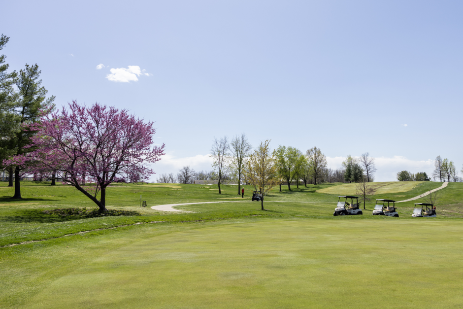 Gustin golf course
