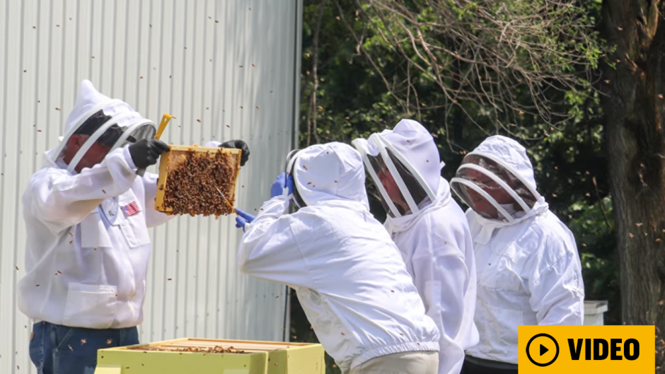 Beekeepers work on hives with video play button
