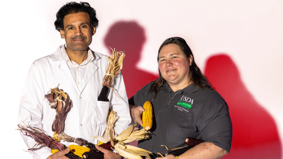 two researchers standing with ears of corn in a studio in front of a background with red shadows