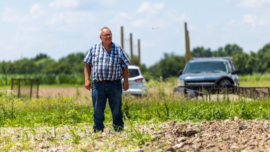 Tim Reinbott stands in field at South Farm.