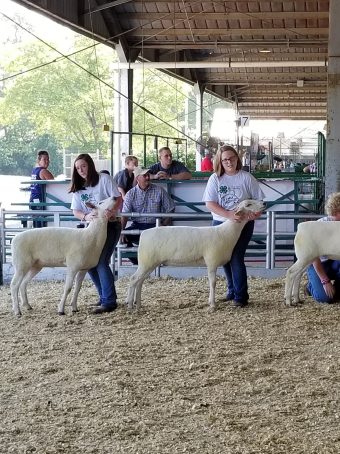 Kemper, at age 12, showing sheep at the fair.