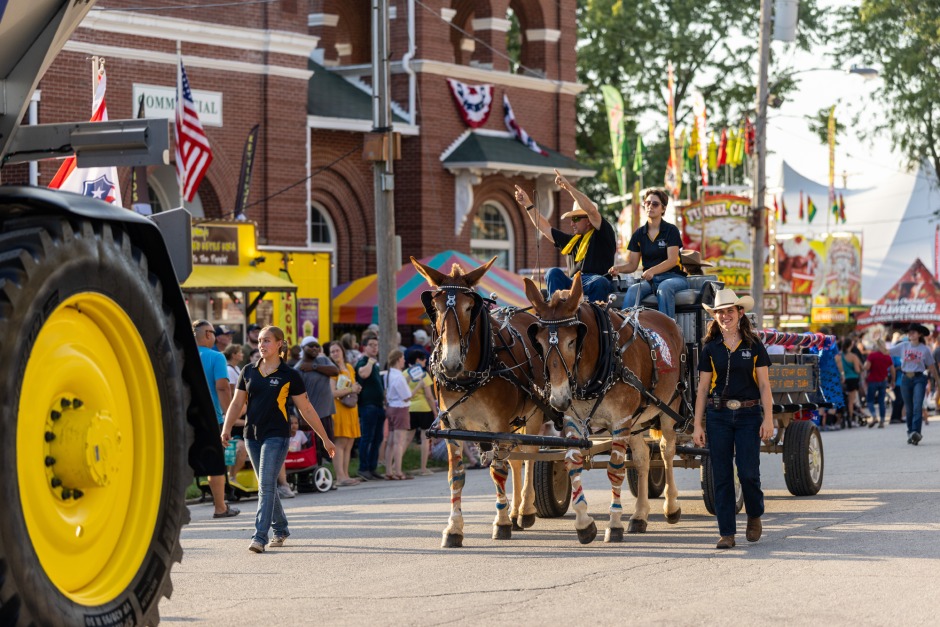 Mule team at the parade