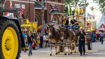 Mule team