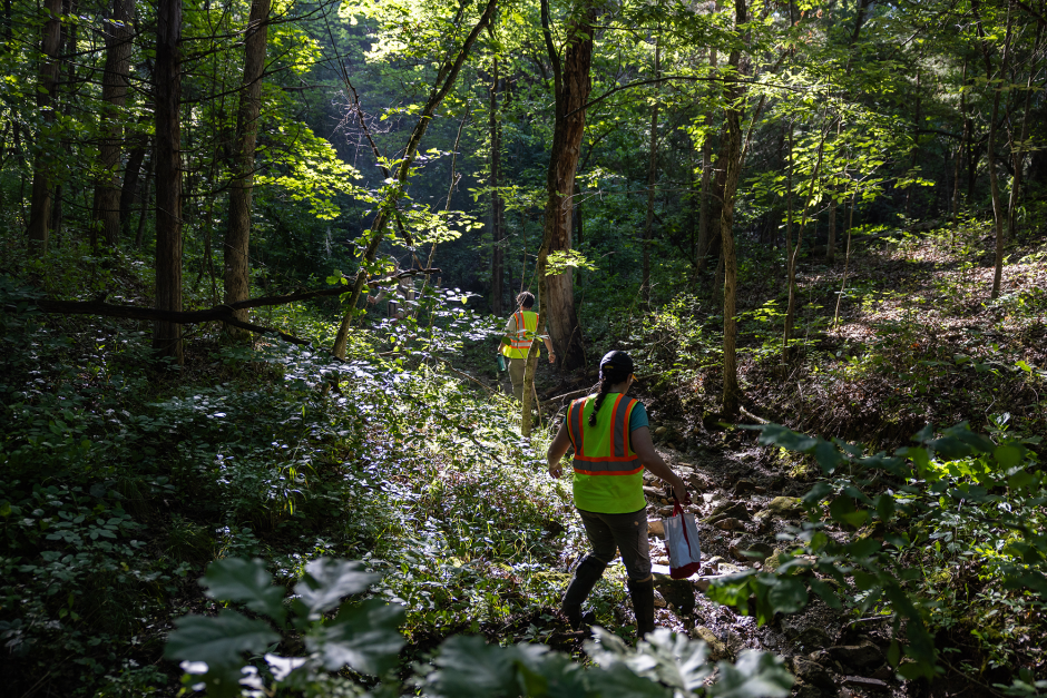 People walk through woods