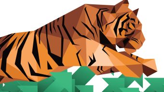 tiger jumping