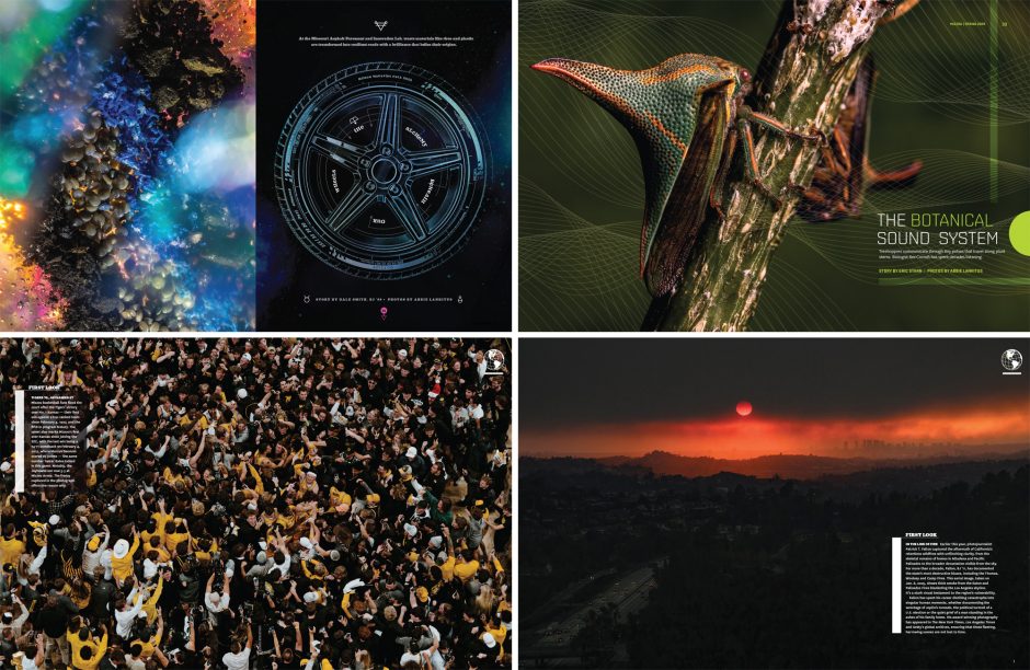 MIZZOU magazine spreads