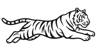 running tiger