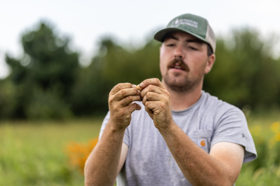 William Lee holds a ground husk cherry tomato in his hands