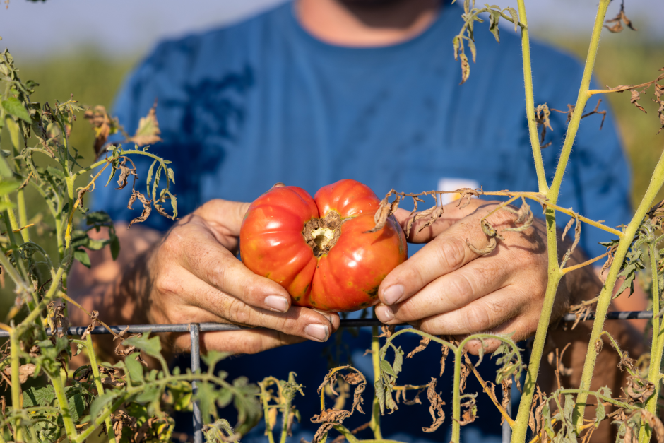 a student holds a tomato