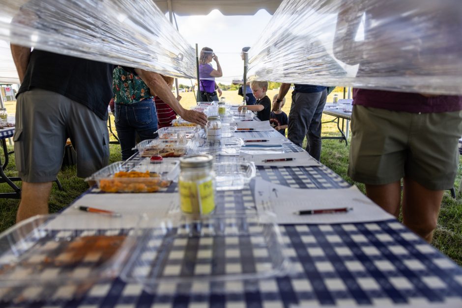 People sample tomatoes on a table at the annual tomato festival