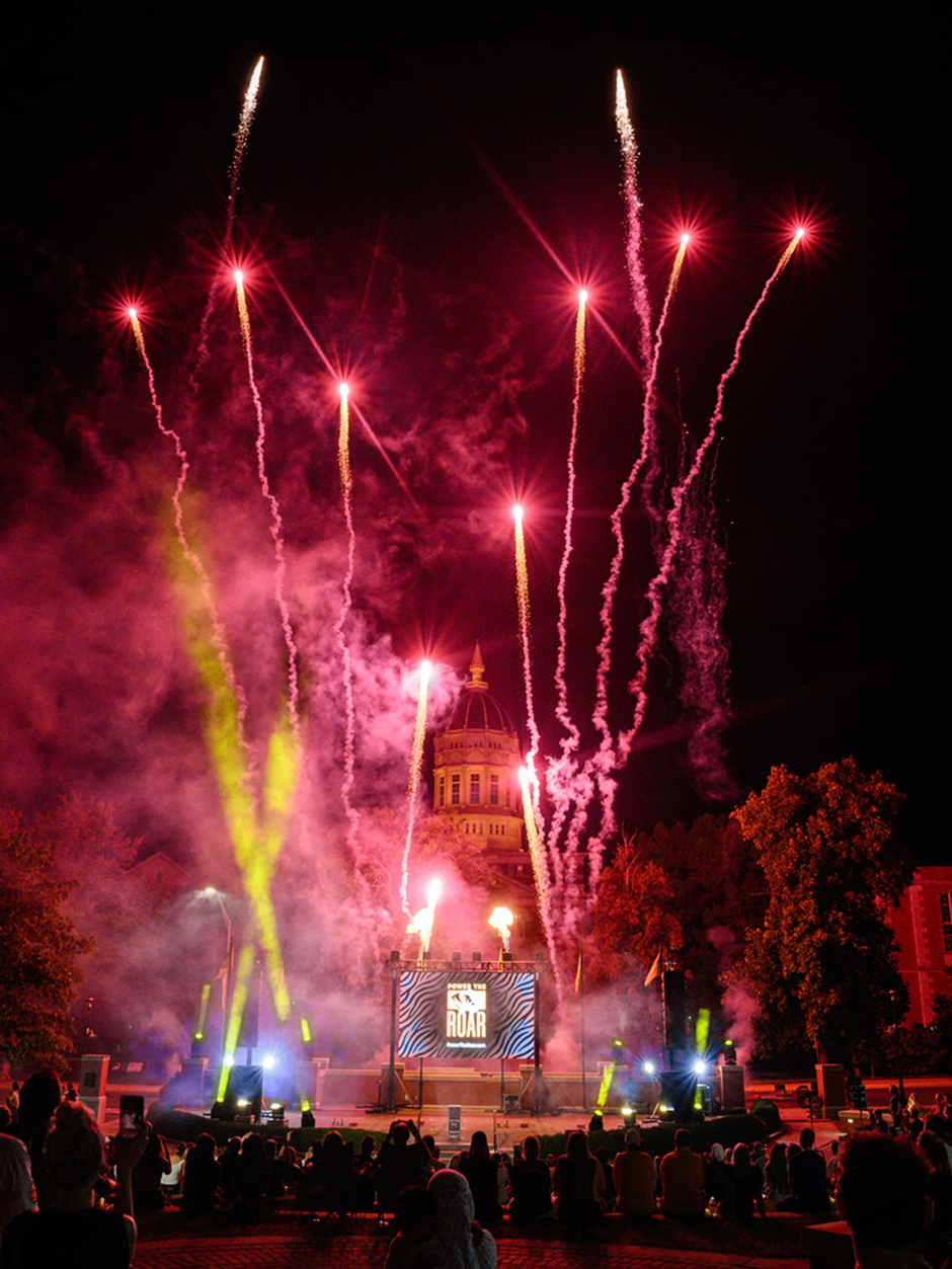 Red and gold fireworks