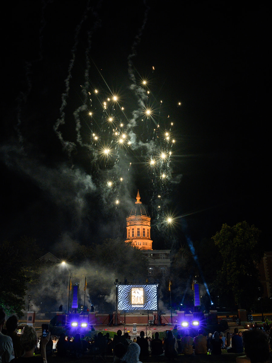 White fireworks above the Dome