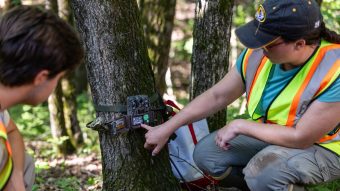 researchers check on a trail camera