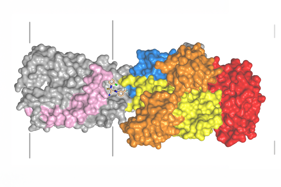 A computer-generated visualization shows a compound, MKV3, connected to a protein in the human body that transports copper.