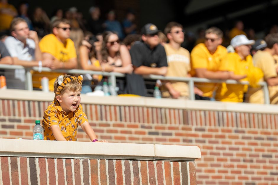 Small child in a tiger outfit at the game