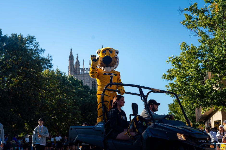 Truman the Tiger in the back of vehicle
